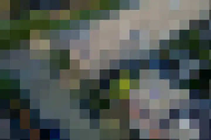 Jan van Scorelkade 43 Alkmaar thumbnail 30