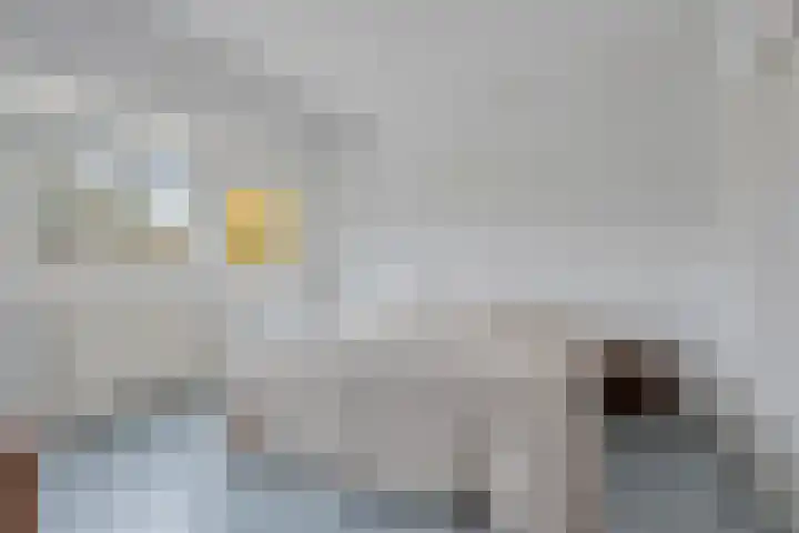 Jan van Scorelkade 43 Alkmaar thumbnail 33