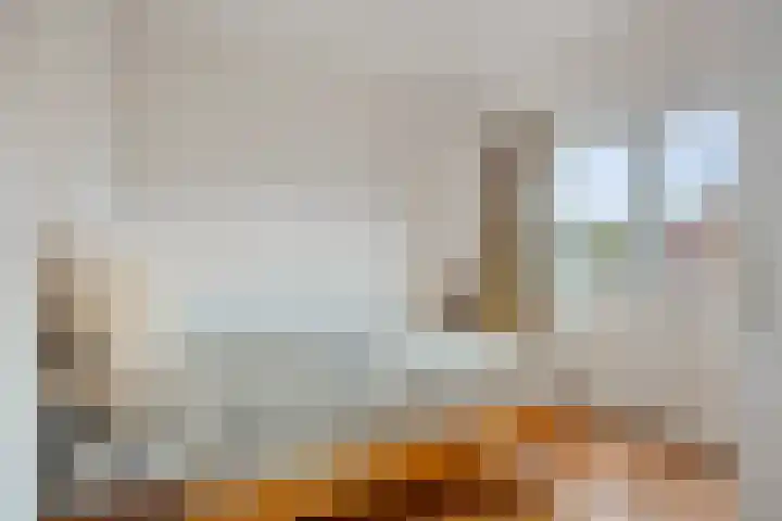 Jan van Scorelkade 43 Alkmaar thumbnail 37