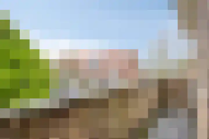 Jan van Scorelkade 43 Alkmaar thumbnail 38