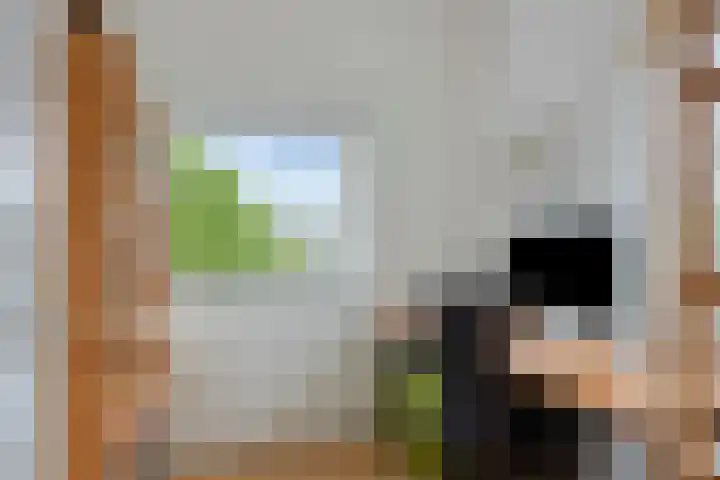 Jan van Scorelkade 43 Alkmaar thumbnail 41