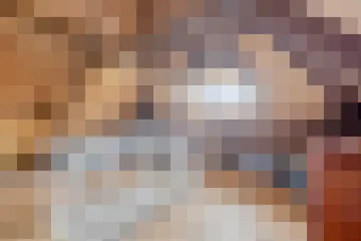 Jan van Scorelkade 43 Alkmaar thumbnail 43