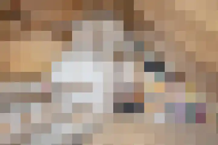 Jan van Scorelkade 43 Alkmaar thumbnail 45