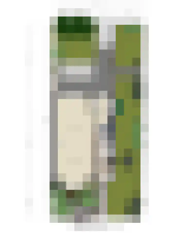 Jan van Scorelkade 43 Alkmaar thumbnail 50