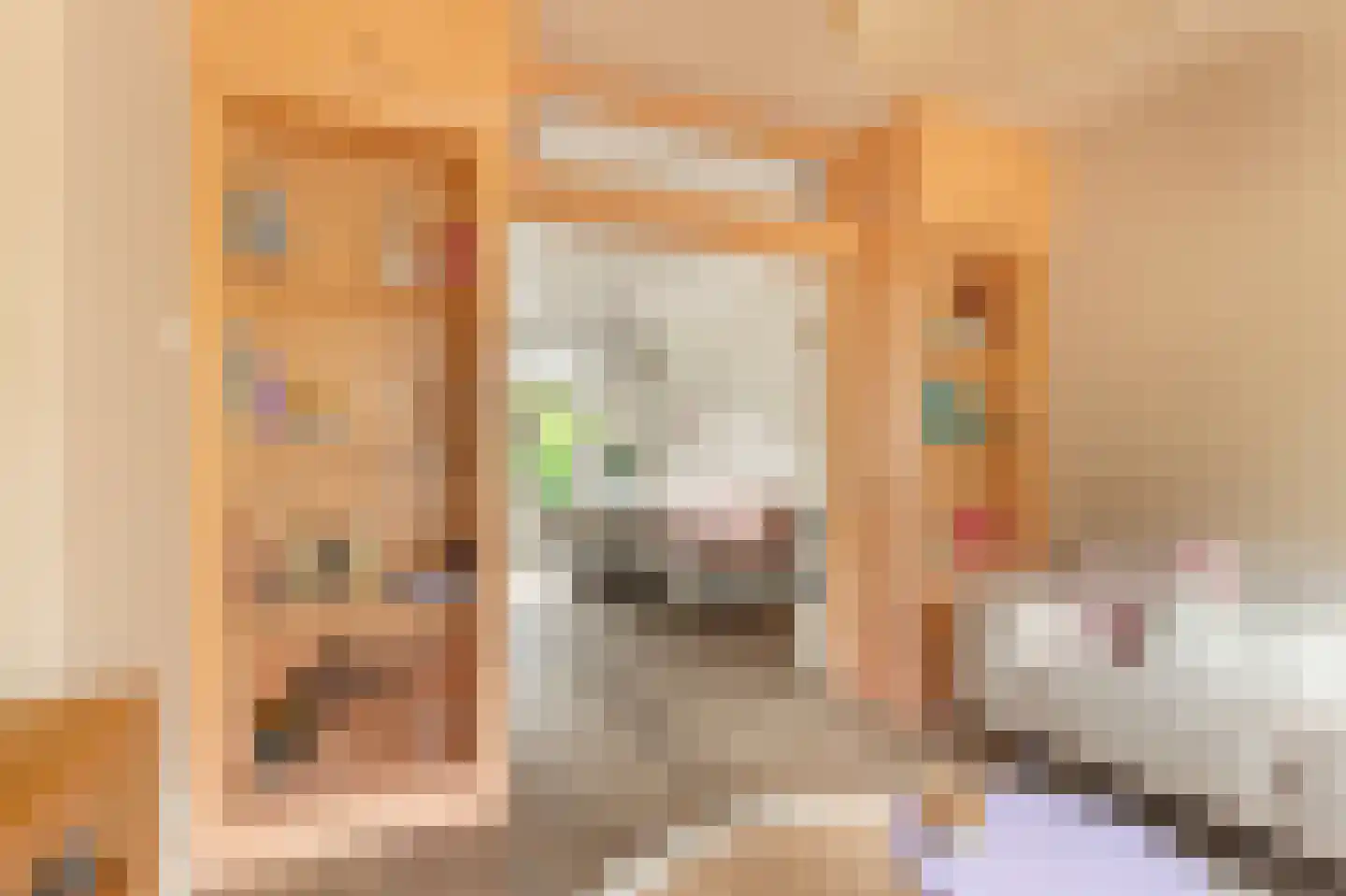 Jan van Scorelkade 60 Alkmaar thumbnail 10