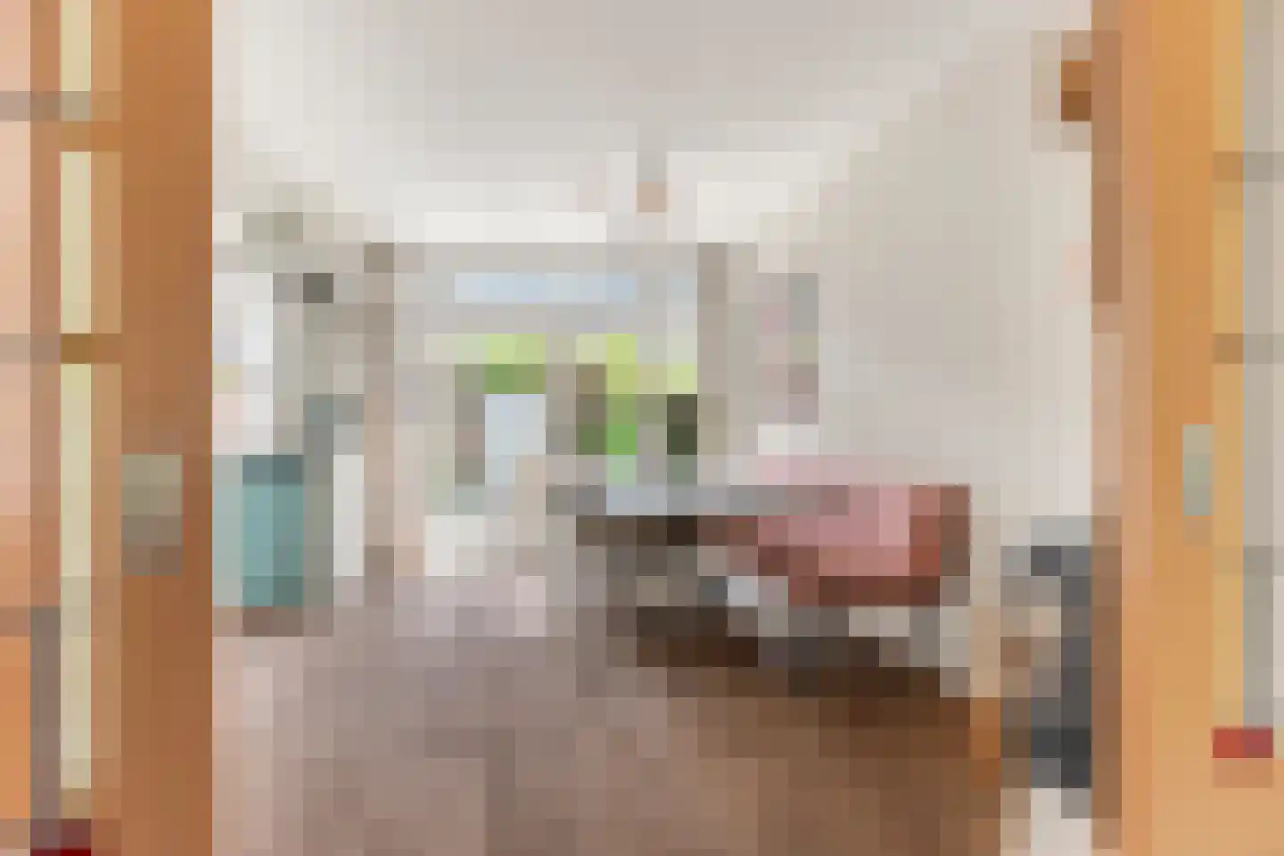 Jan van Scorelkade 60 Alkmaar thumbnail 14