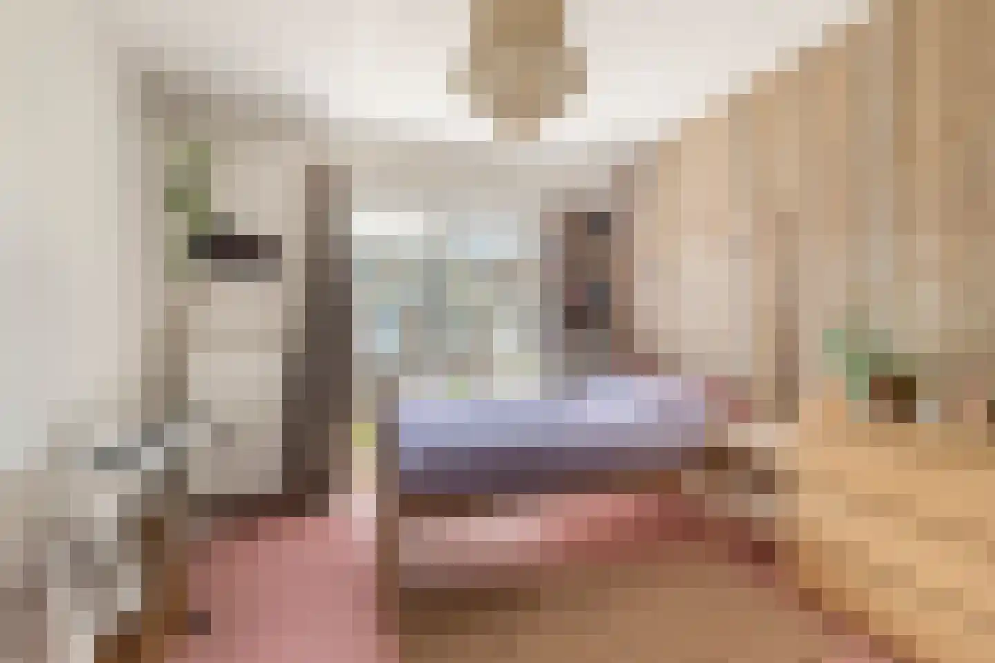 Jan van Scorelkade 60 Alkmaar thumbnail 26