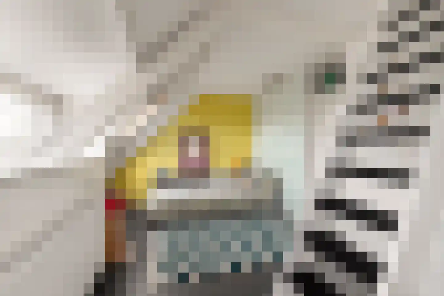 Jan van Scorelkade 60 Alkmaar thumbnail 39