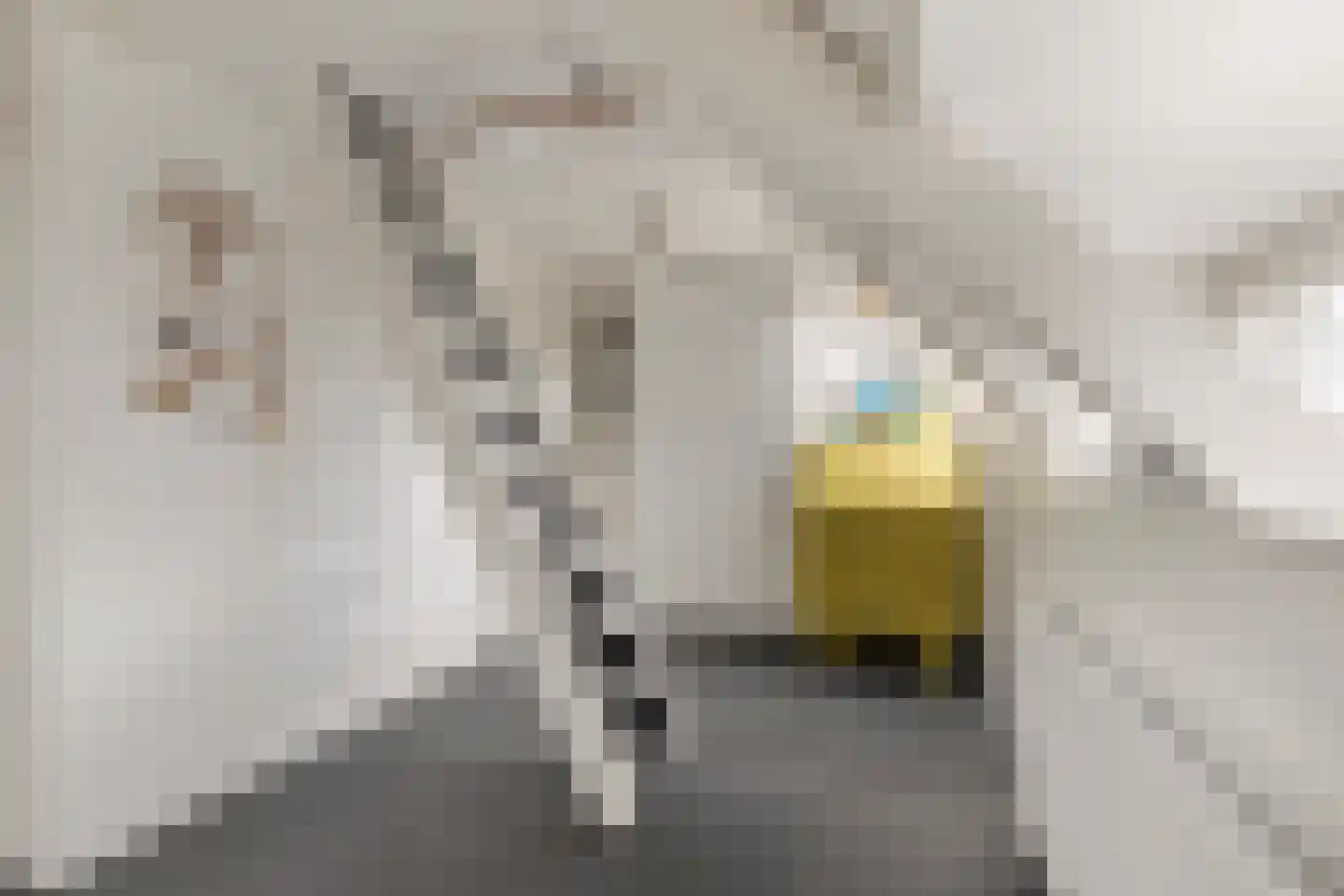 Jan van Scorelkade 60 Alkmaar thumbnail 40