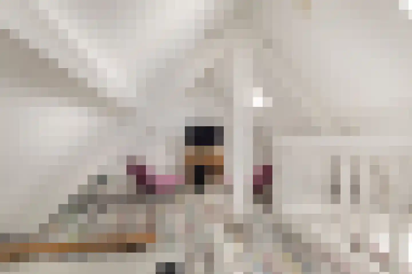 Jan van Scorelkade 60 Alkmaar thumbnail 41
