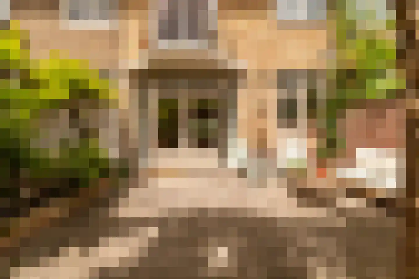 Jan van Scorelkade 60 Alkmaar thumbnail 7