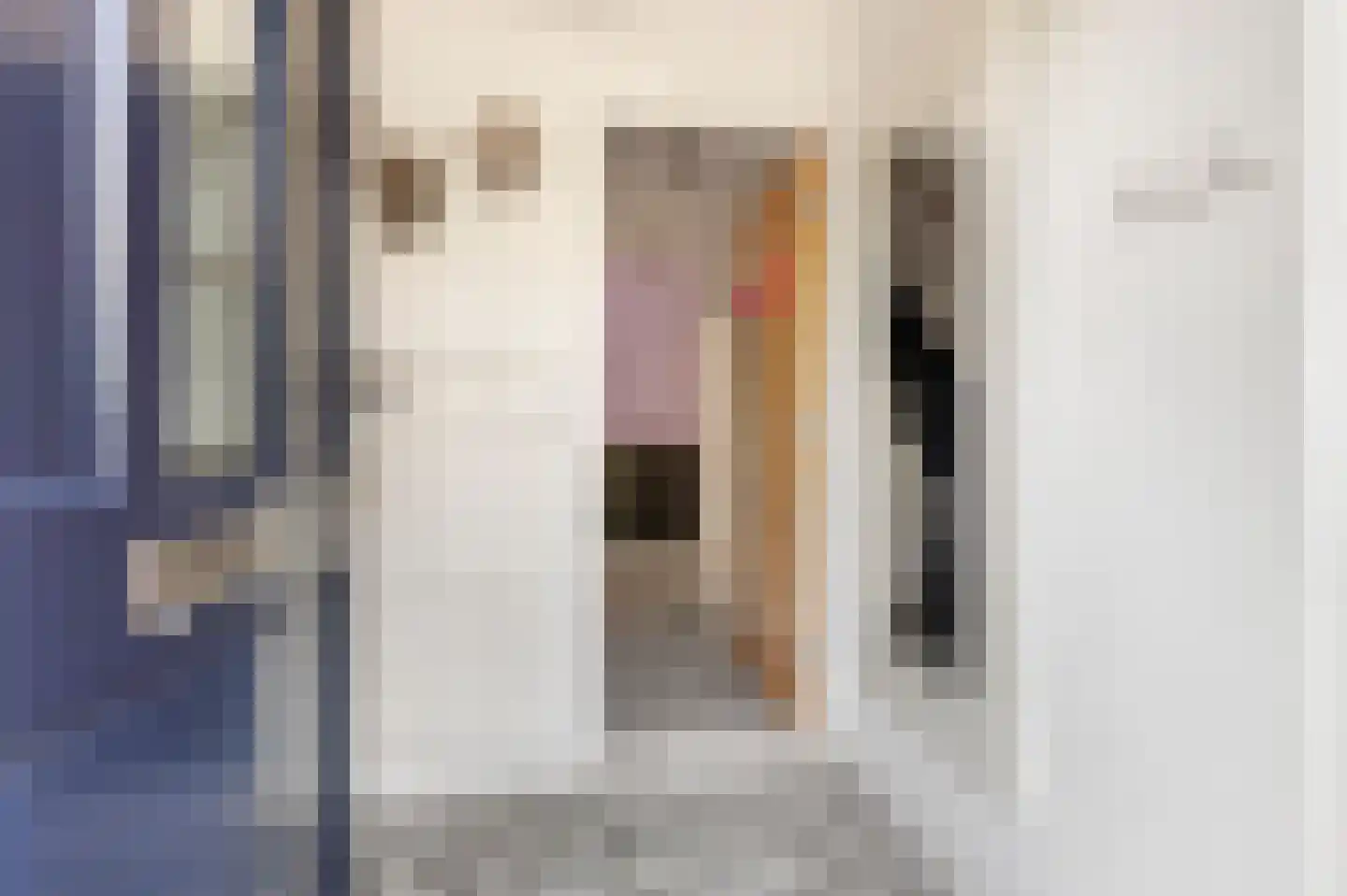 Jan van Scorelkade 60 Alkmaar thumbnail 8