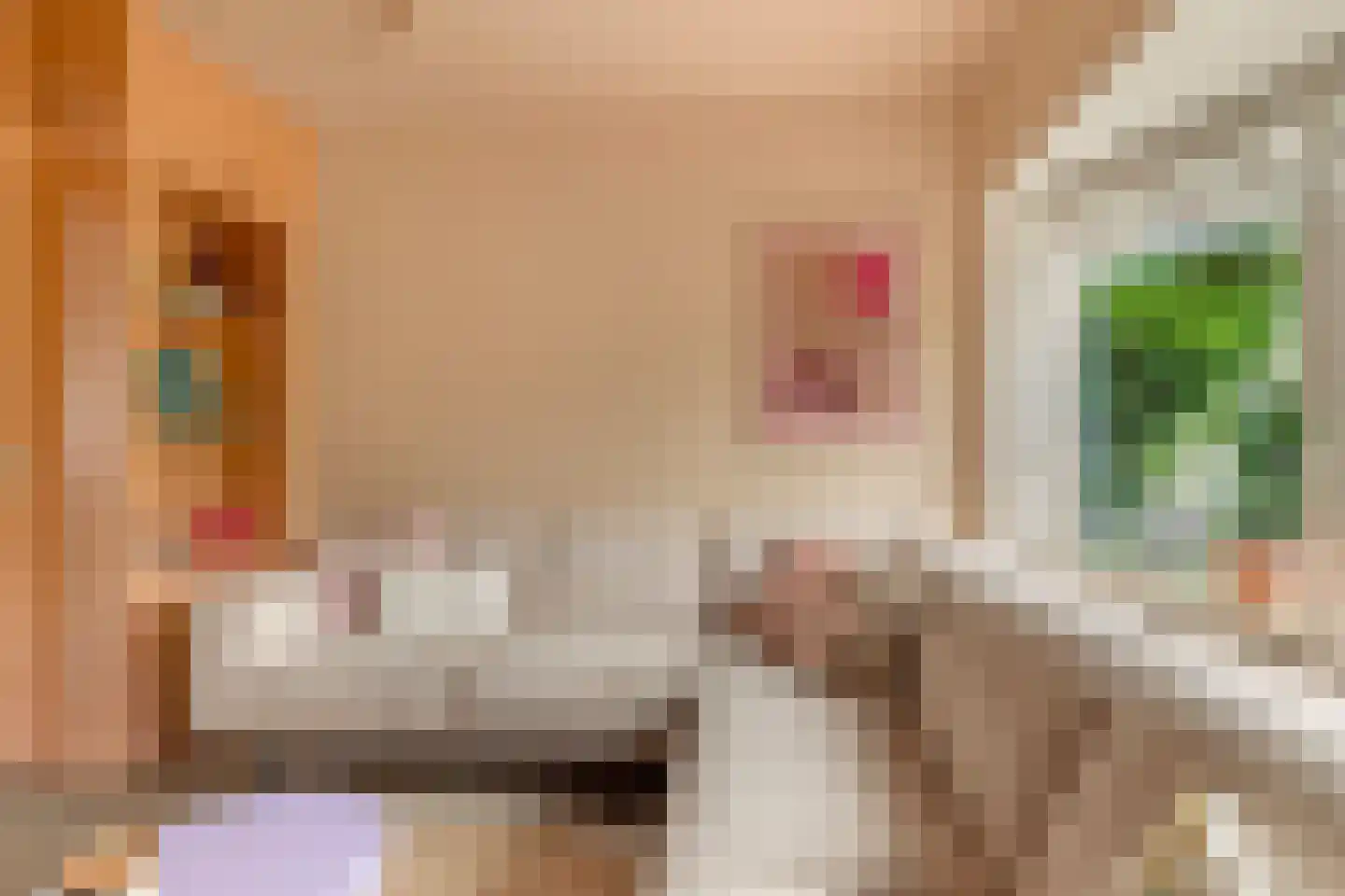 Jan van Scorelkade 60 Alkmaar thumbnail 9