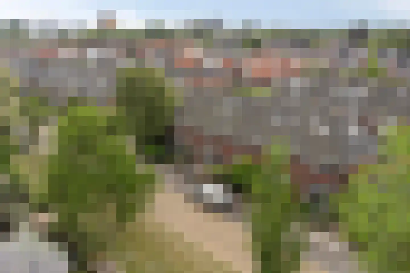 Jan van Scorelkade 64 Alkmaar thumbnail 30