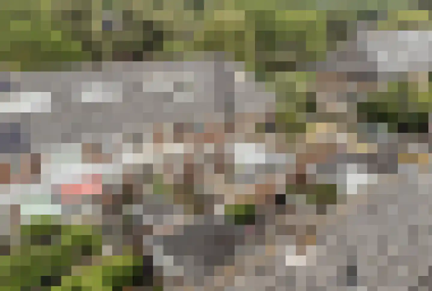 Jan van Scorelkade 64 Alkmaar thumbnail 32