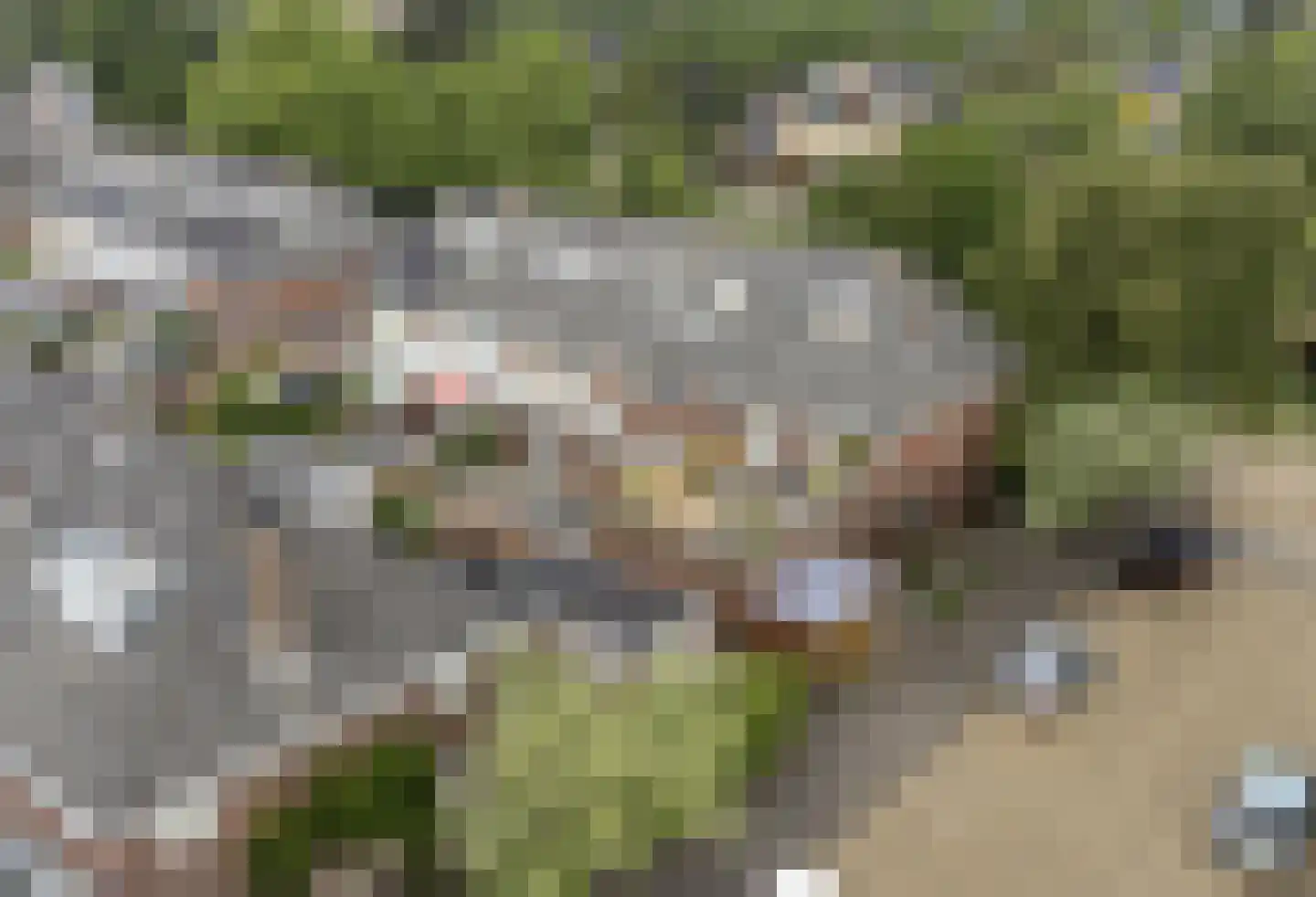 Jan van Scorelkade 64 Alkmaar thumbnail 33