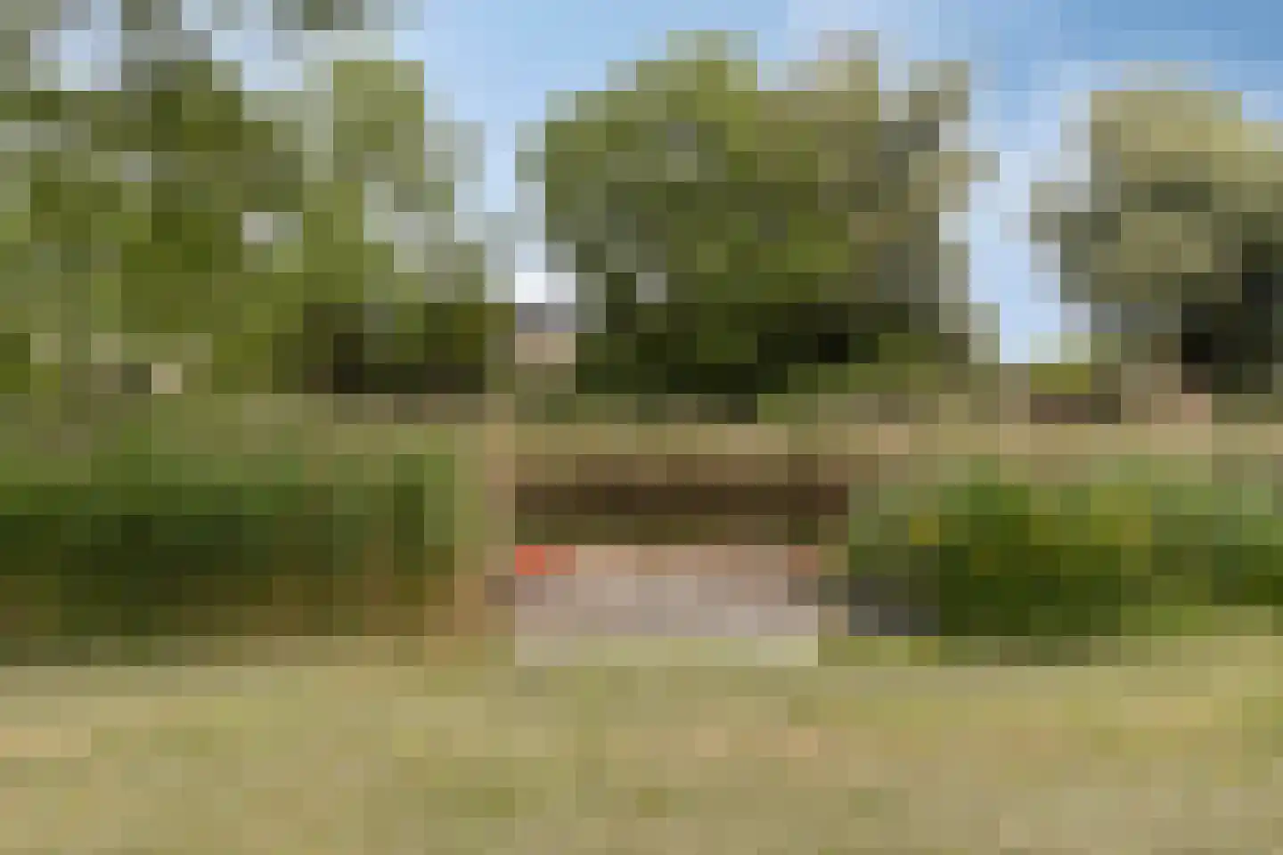 Jan van Scorelkade 64 Alkmaar thumbnail 37