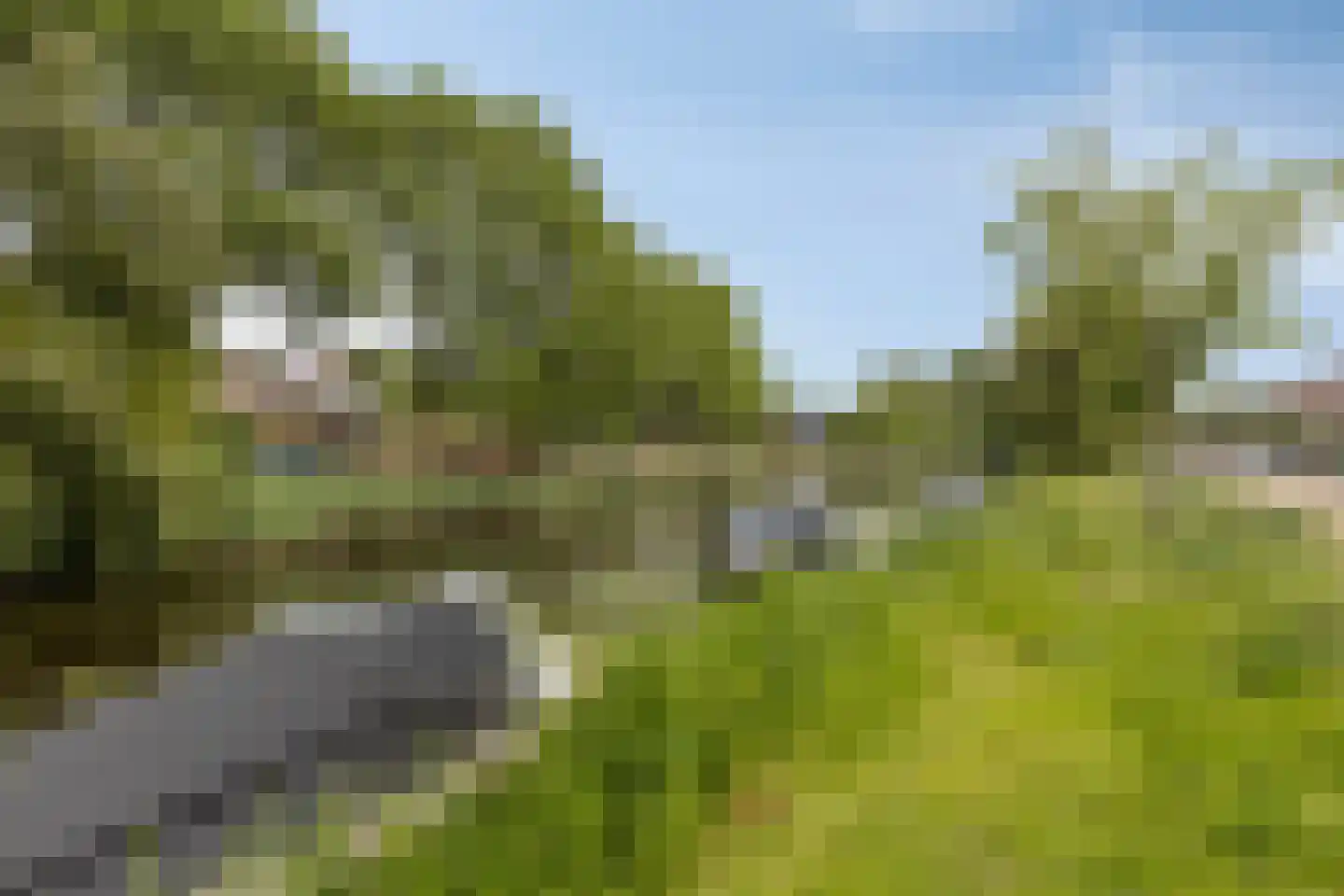 Jan van Scorelkade 64 Alkmaar thumbnail 38