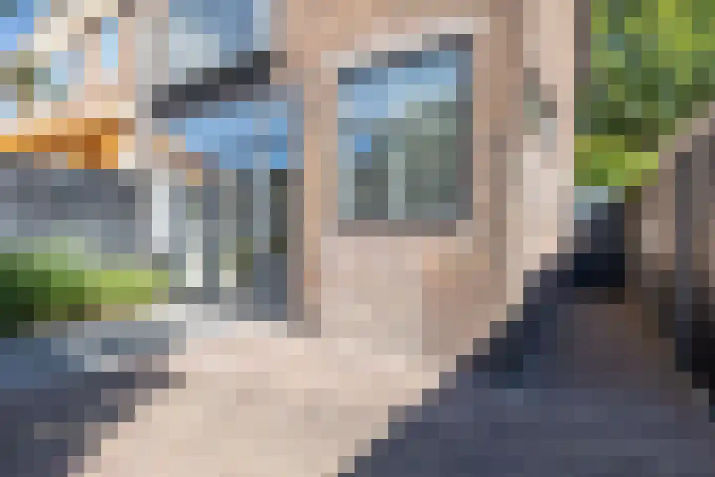Jan van Scorelkade 8 Alkmaar thumbnail 34