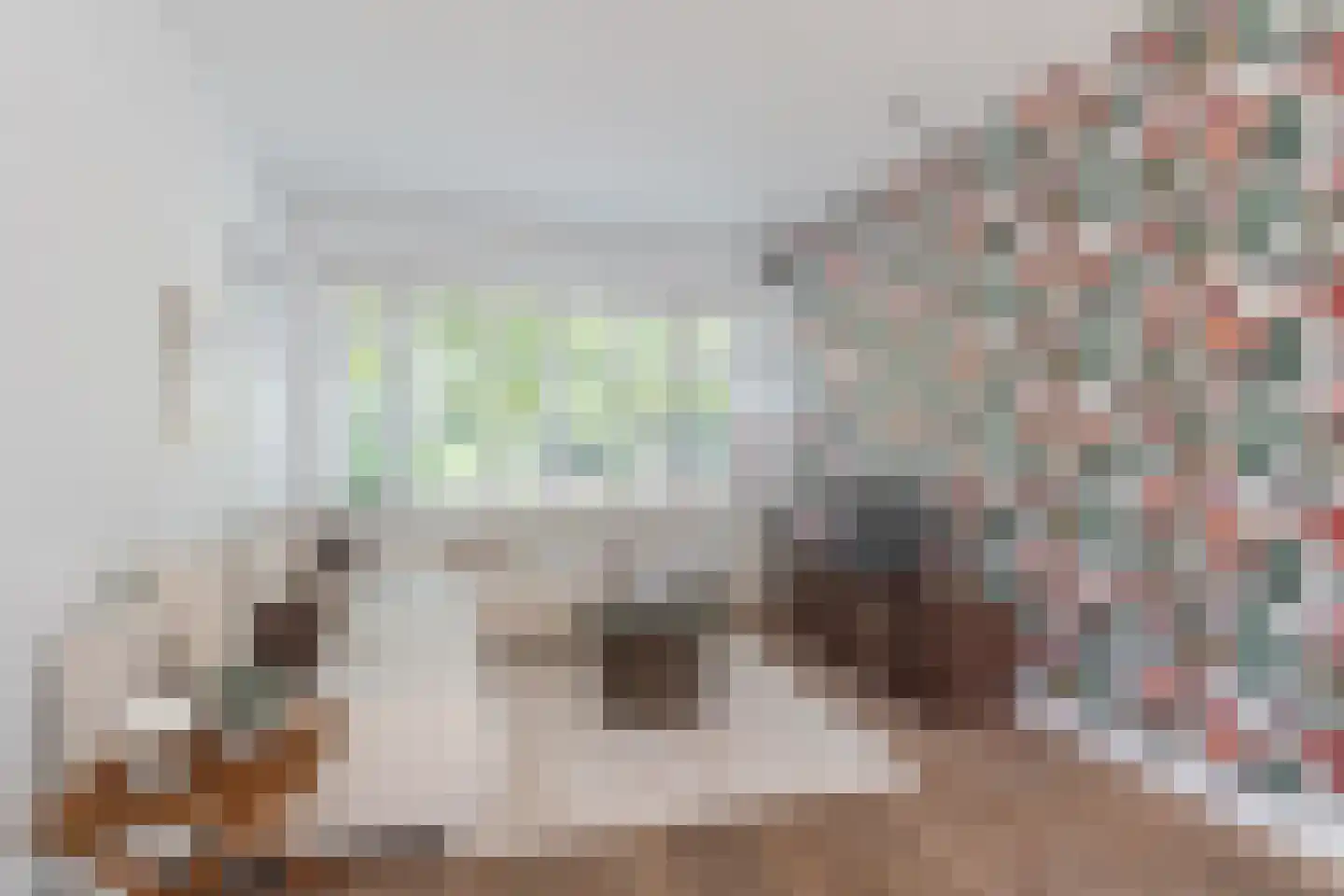 Jan van Scorelkade 8 Alkmaar thumbnail 7