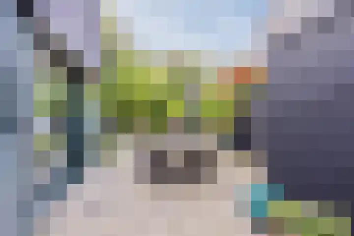 Jan van Scorelpark 14 Schoorl thumbnail 16