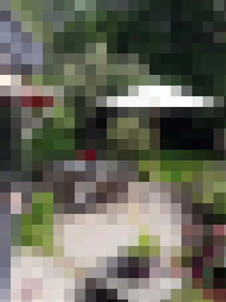 Jan van Scorelpark 14 Schoorl thumbnail 29