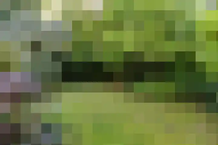 Jan van Scorelpark 14 Schoorl thumbnail 31