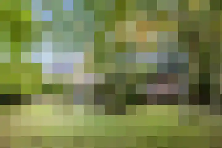 Jan van Scorelpark 14 Schoorl thumbnail 32