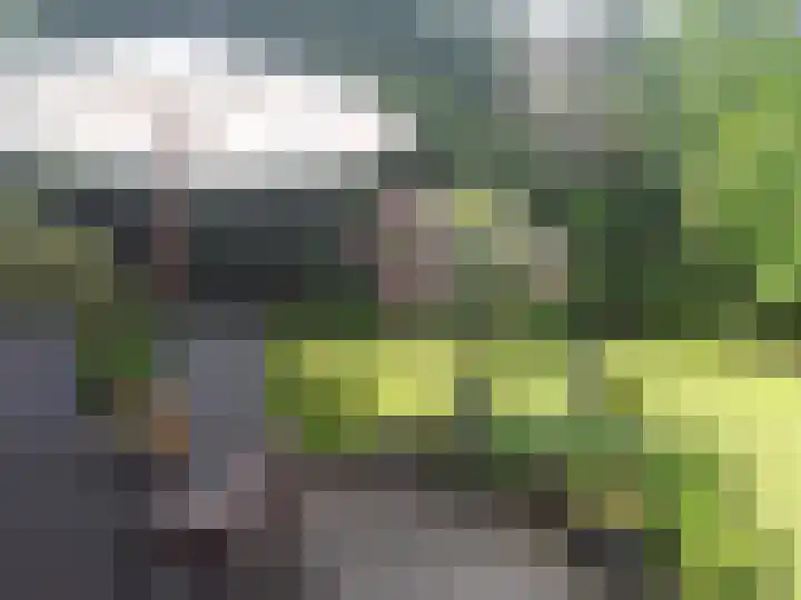 Jan van Scorelpark 14 Schoorl thumbnail 33