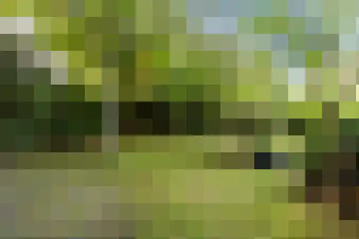 Jan van Scorelpark 14 Schoorl thumbnail 34