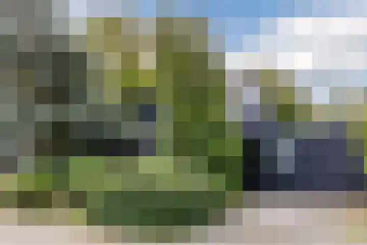 Jan van Scorelpark 14 Schoorl thumbnail 35