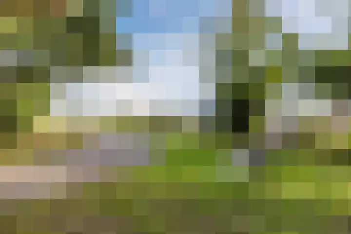 Jan van Scorelpark 14 Schoorl thumbnail 37