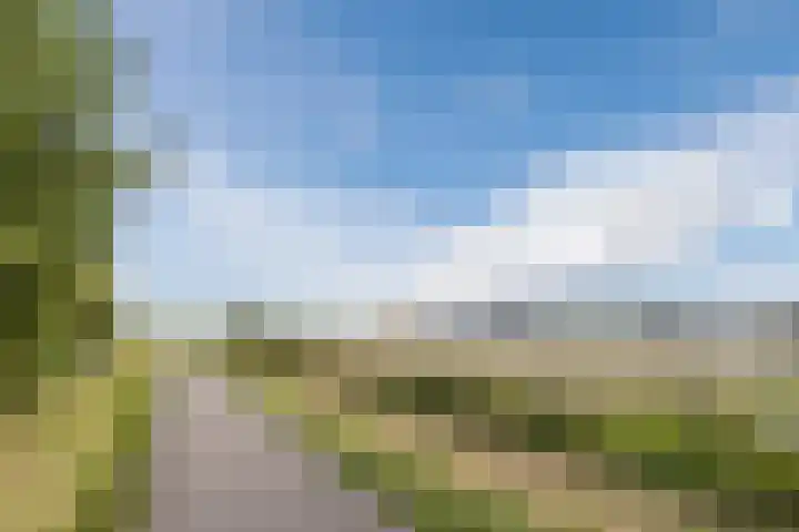 Jan van Scorelpark 14 Schoorl thumbnail 38
