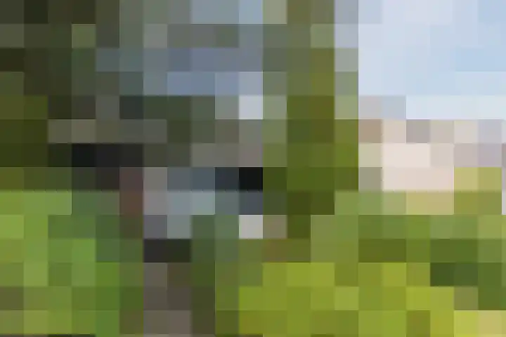 Jan van Scorelpark 14 Schoorl thumbnail 4