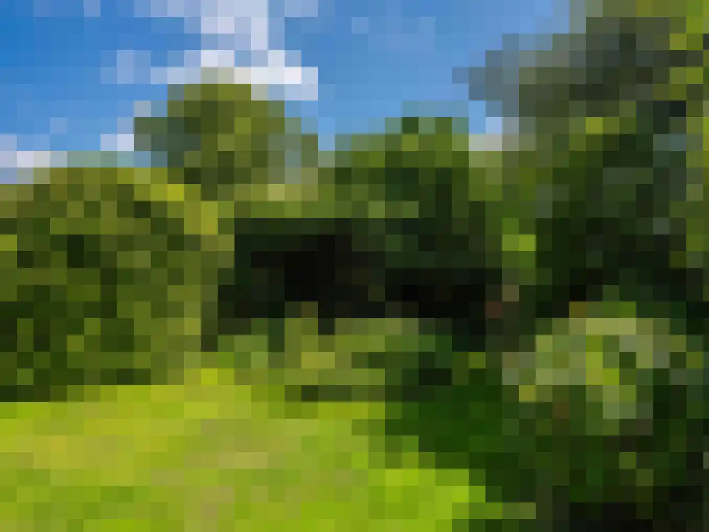 Jan van Scorelpark 20 Schoorl thumbnail 27