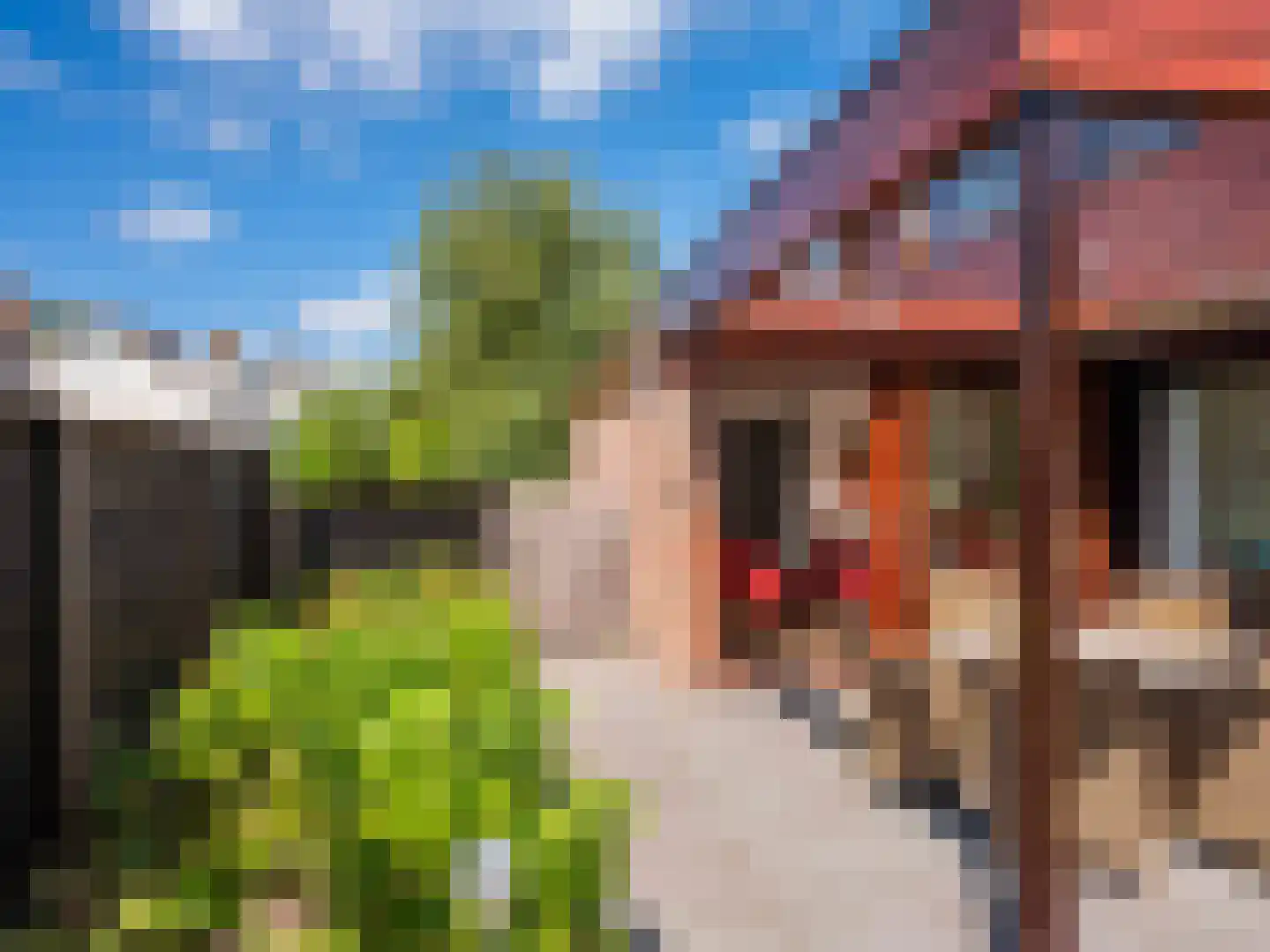Jan van Scorelpark 20 Schoorl thumbnail 29