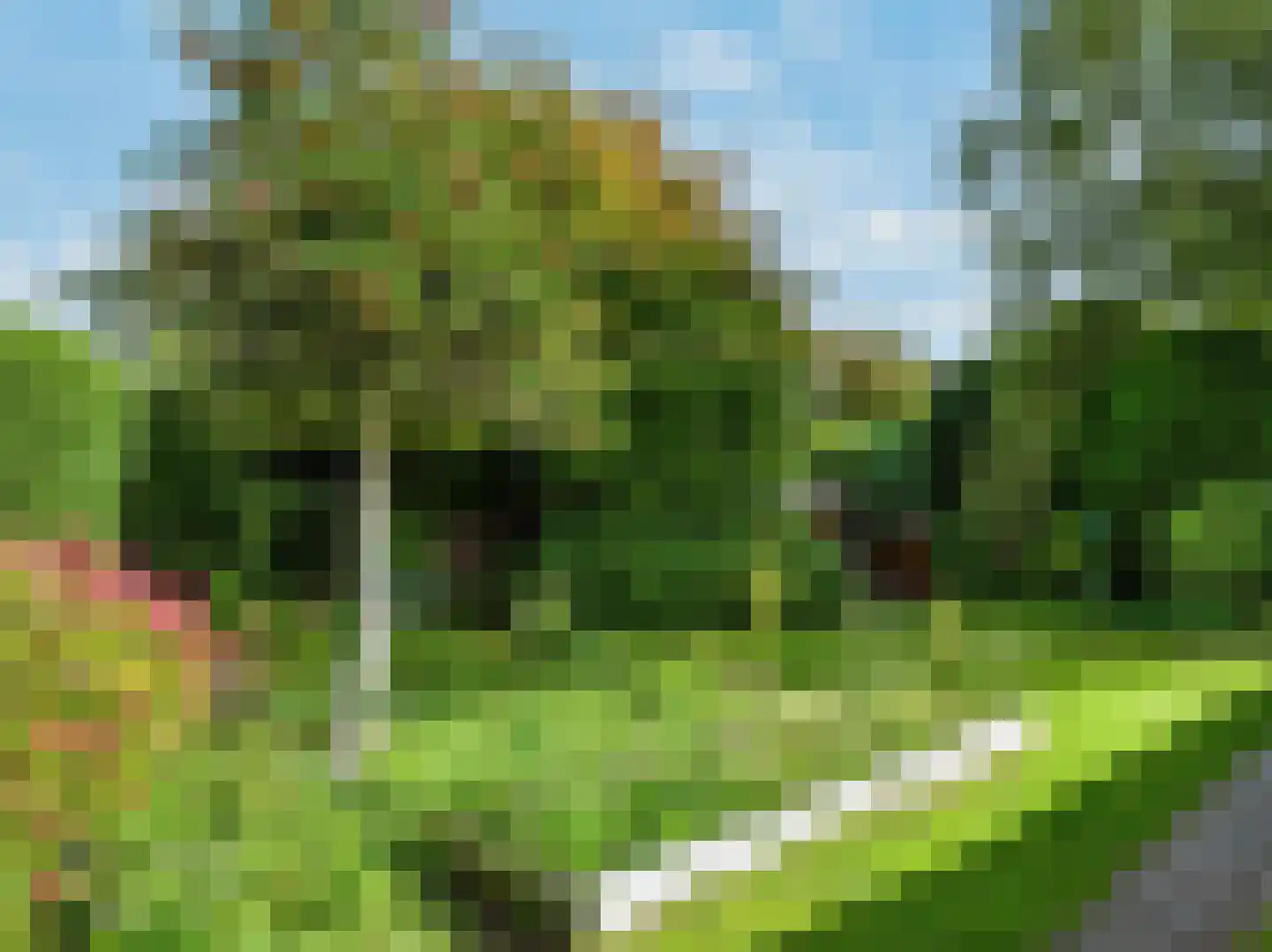 Jan van Scorelpark 23 Schoorl foto 3