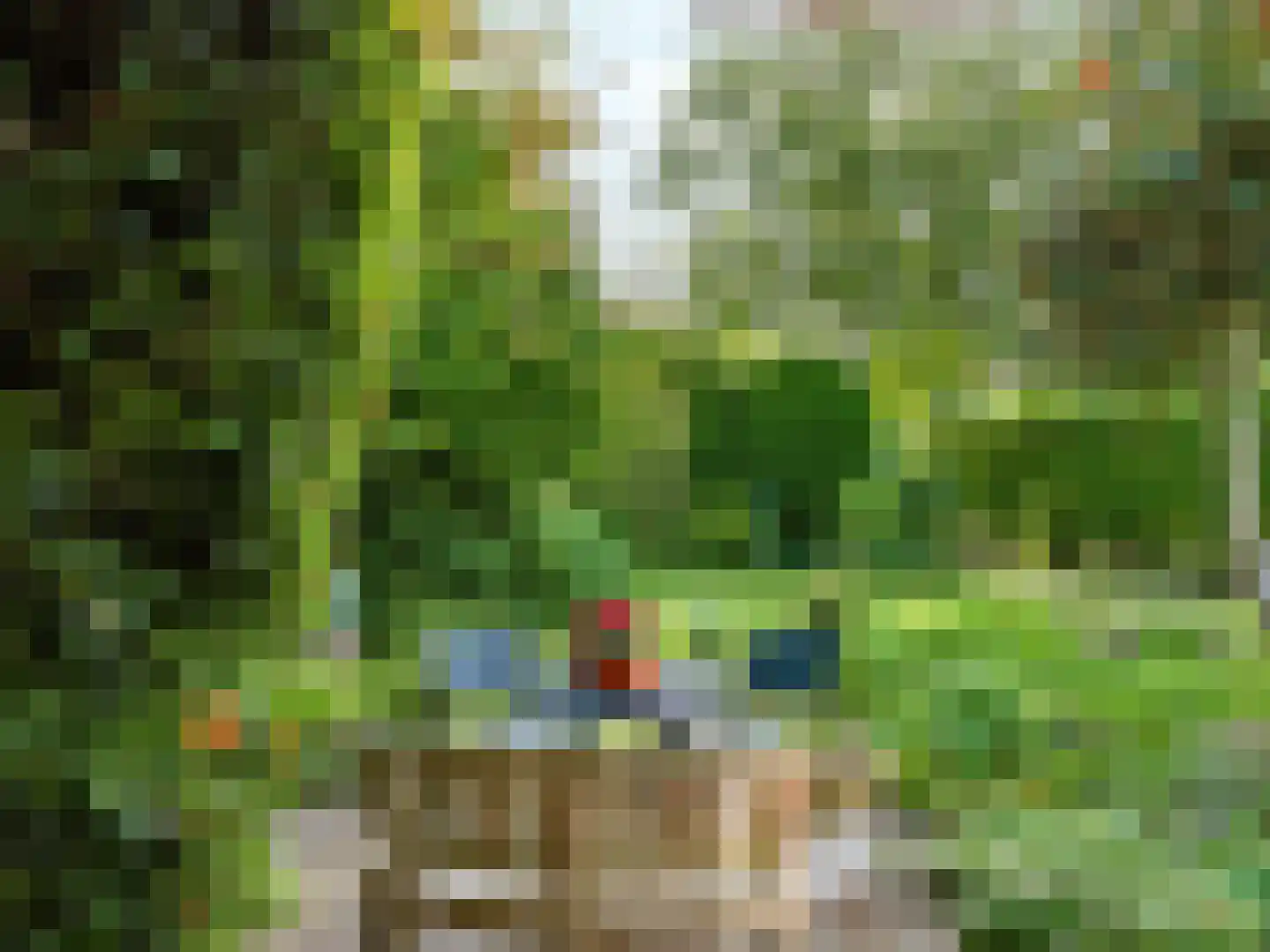 Jan van Scorelpark 23 Schoorl thumbnail 30