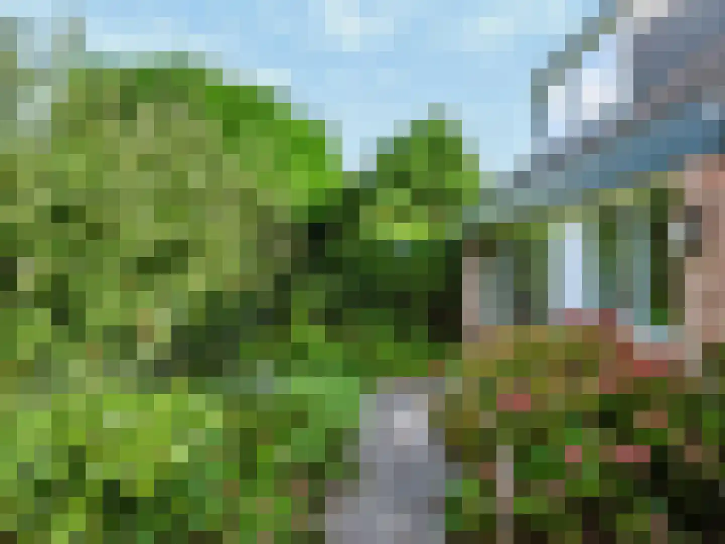 Jan van Scorelpark 23 Schoorl thumbnail 31