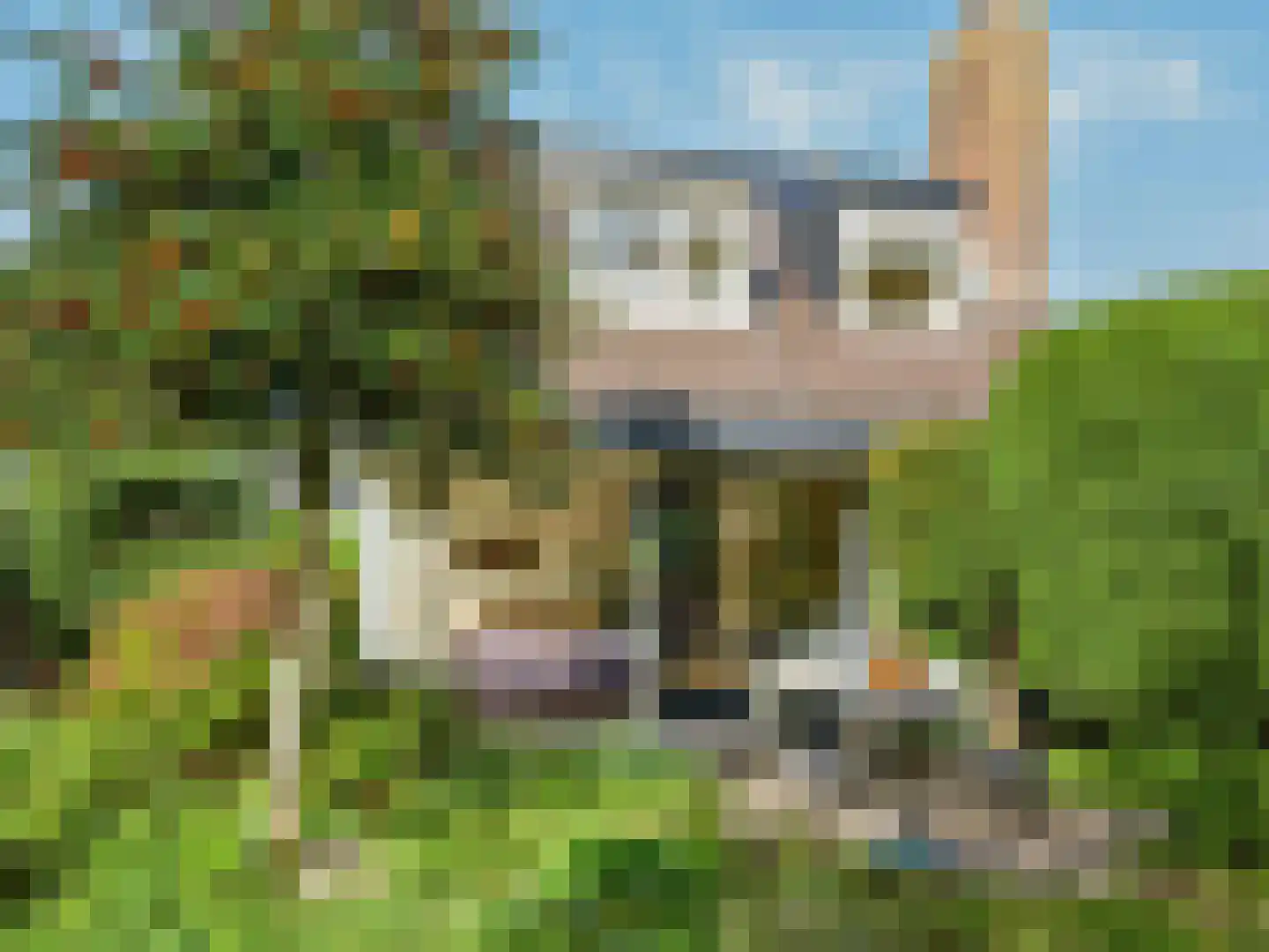 Jan van Scorelpark 23 Schoorl thumbnail 33