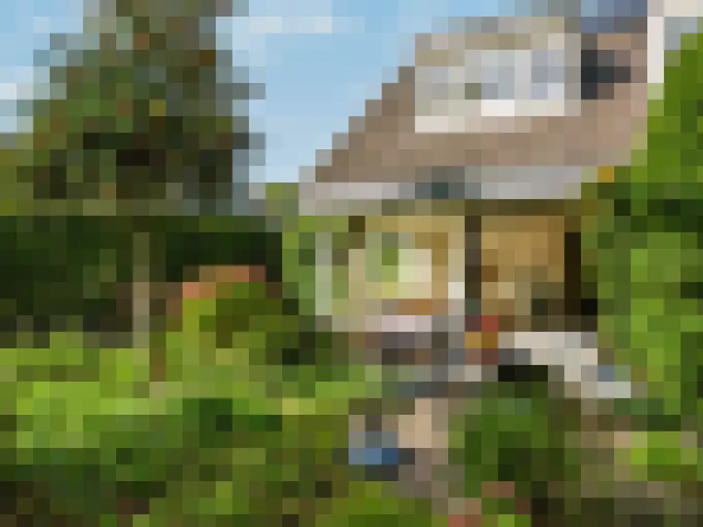 Jan van Scorelpark 23 Schoorl thumbnail 34