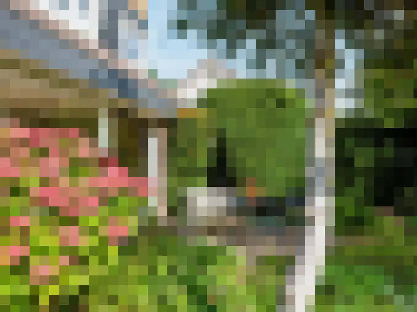 Jan van Scorelpark 23 Schoorl thumbnail 38