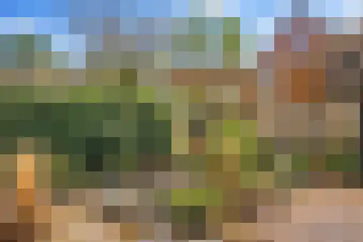 Jan van Scorelpark 30 Schoorl thumbnail 35