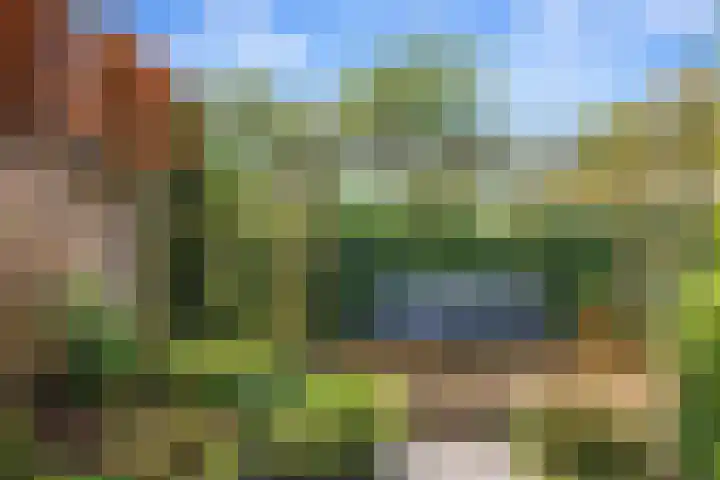Jan van Scorelpark 30 Schoorl thumbnail 36