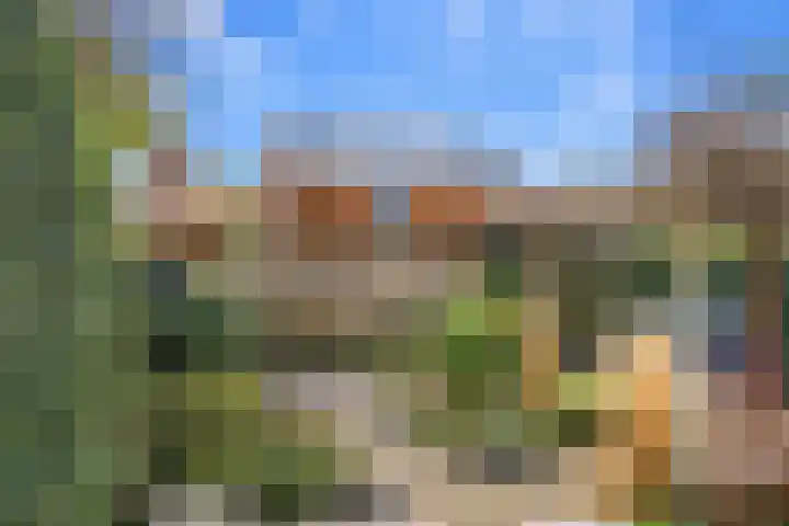 Jan van Scorelpark 30 Schoorl thumbnail 37