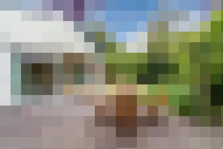 Jan van Scorelpark 48 Schoorl thumbnail 27
