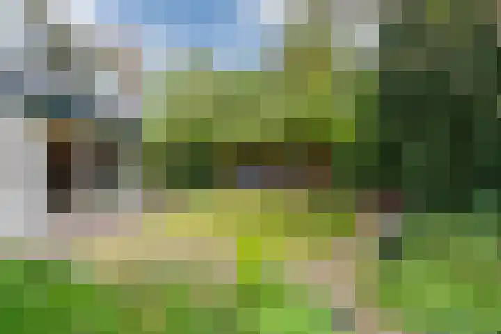 Jan van Scorelpark 48 Schoorl thumbnail 28