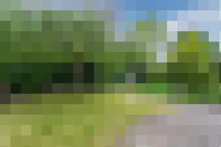 Jan van Scorelpark 48 Schoorl thumbnail 30