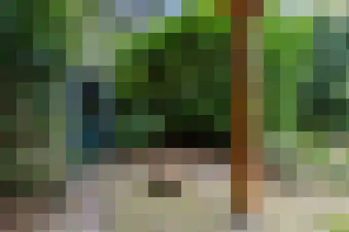 Jan van Scorelpark 48 Schoorl thumbnail 31