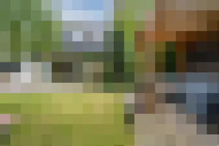 Jan van Scorelpark 48 Schoorl thumbnail 32
